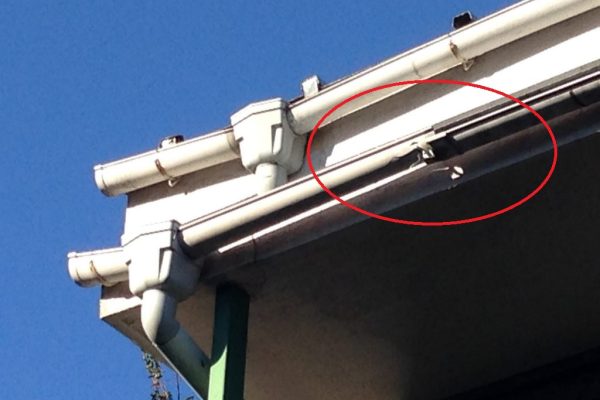 春一番で家が変形?強風の後の一戸建てチェックポイント 春一番で家が変形?強風の後の一戸建てチェックポイント