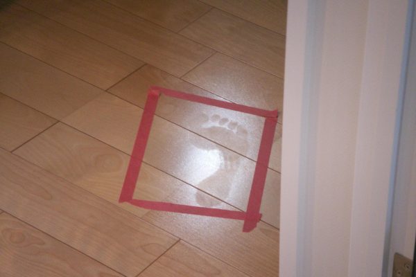 え!○○○がフローリングに?短時間チェック方法 え!○○○がフローリングに?短時間チェック方法