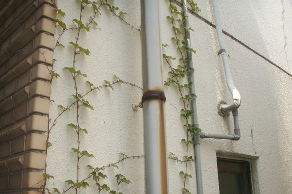 季節の変わり目は住まいの要注意シーズン 季節の変わり目は住まいの要注意シーズン