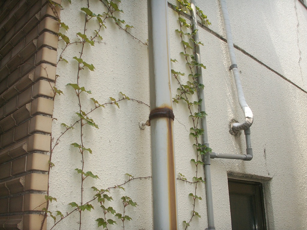 季節の変わり目は住まいの要注意シーズン 季節の変わり目は住まいの要注意シーズン