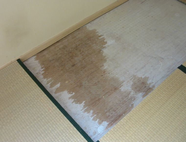 梅雨が来る前にチェックしておきたい!自宅点検ポイント 梅雨が来る前にチェックしておきたい!自宅点検ポイント