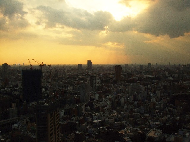 マンション居住者必見! 西日軽減アイテム「ガラスフィルム」とは? マンション居住者必見! 西日軽減アイテム「ガラスフィルム」とは?
