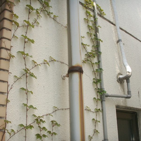 季節の変わり目は住まいの要注意シーズン 季節の変わり目は住まいの要注意シーズン