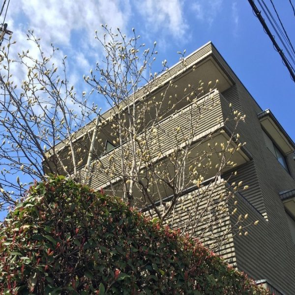 「マンション最上階=暑い」って本当なの? 「マンション最上階=暑い」って本当なの?