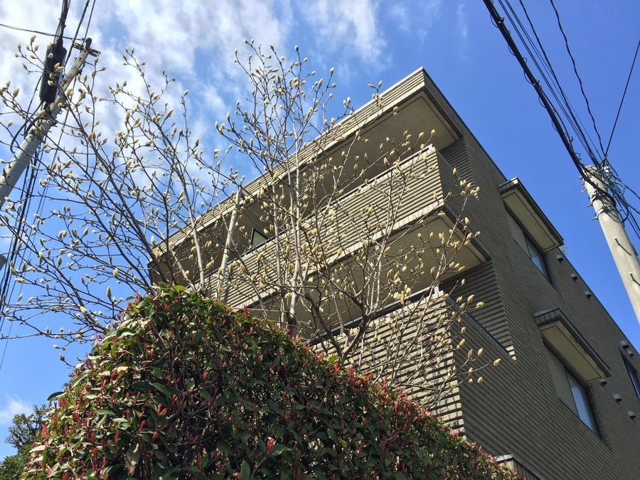 「マンション最上階=暑い」って本当なの? 「マンション最上階=暑い」って本当なの?