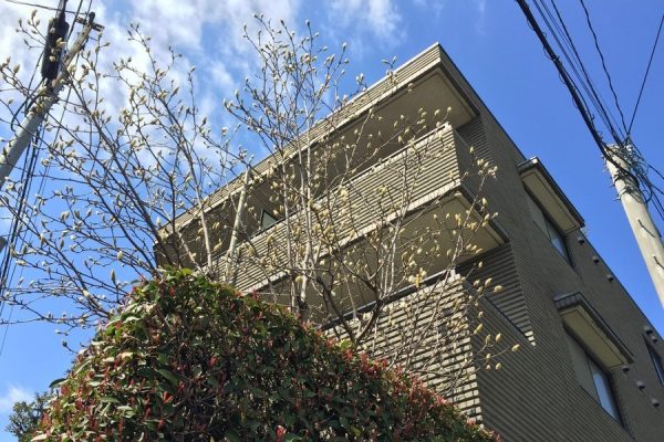 「マンション最上階＝暑い」って本当なの？