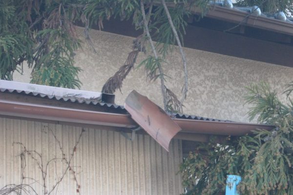 ホームインスペクターが伝授!一戸建てのセルフチェックポイント ホームインスペクターが伝授!一戸建てのセルフチェックポイント