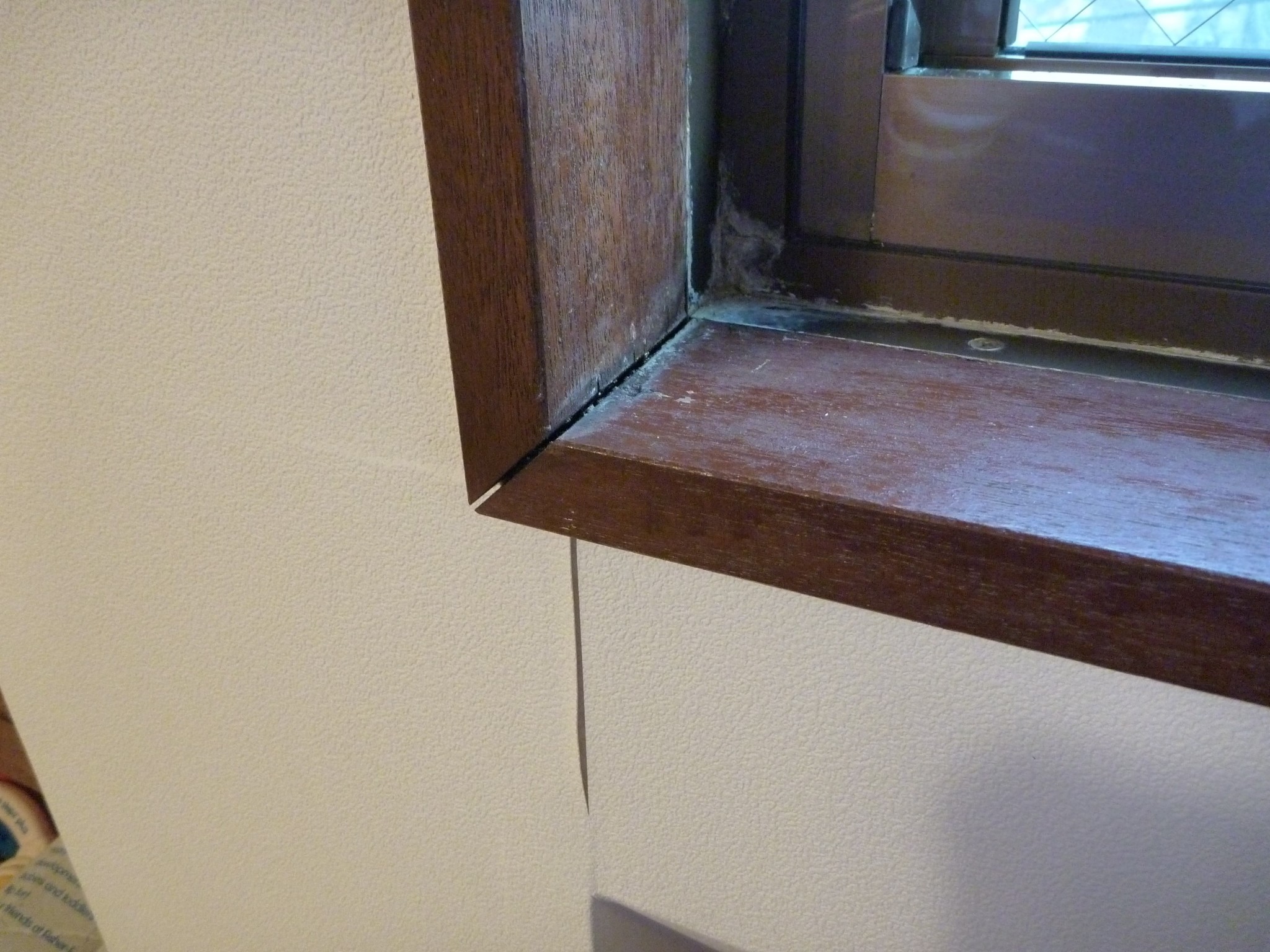 大掃除の仕上げはここ!壁紙の黒ずみやカビをチェック 大掃除の仕上げはここ!壁紙の黒ずみやカビをチェック