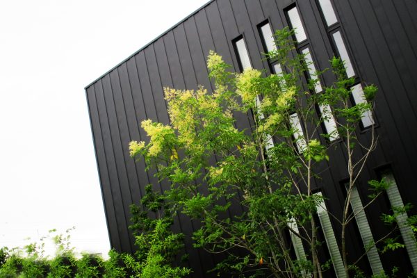 新築一戸建て工事中のチェックポイント⑭　外装工事