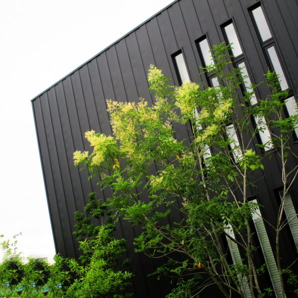 新築一戸建て工事中のチェックポイント⑭ 外装工事 新築一戸建て工事中のチェックポイント⑭ 外装工事