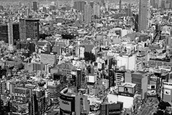 長嶋修も解説!平成最後に振り返る欠陥住宅史と業界 長嶋修も解説!平成最後に振り返る欠陥住宅史と業界
