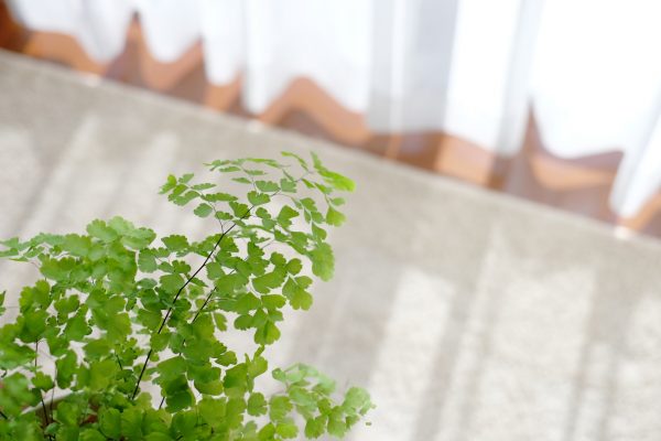 冬場は中古住宅の性能を体感できる季節!?内覧時のチェックポイントを解説 冬場は中古住宅の性能を体感できる季節!?内覧時のチェックポイントを解説