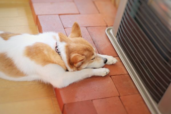 パッシブハウスとは。高気密高断熱住宅とは何が違うの? パッシブハウスとは。高気密高断熱住宅とは何が違うの?