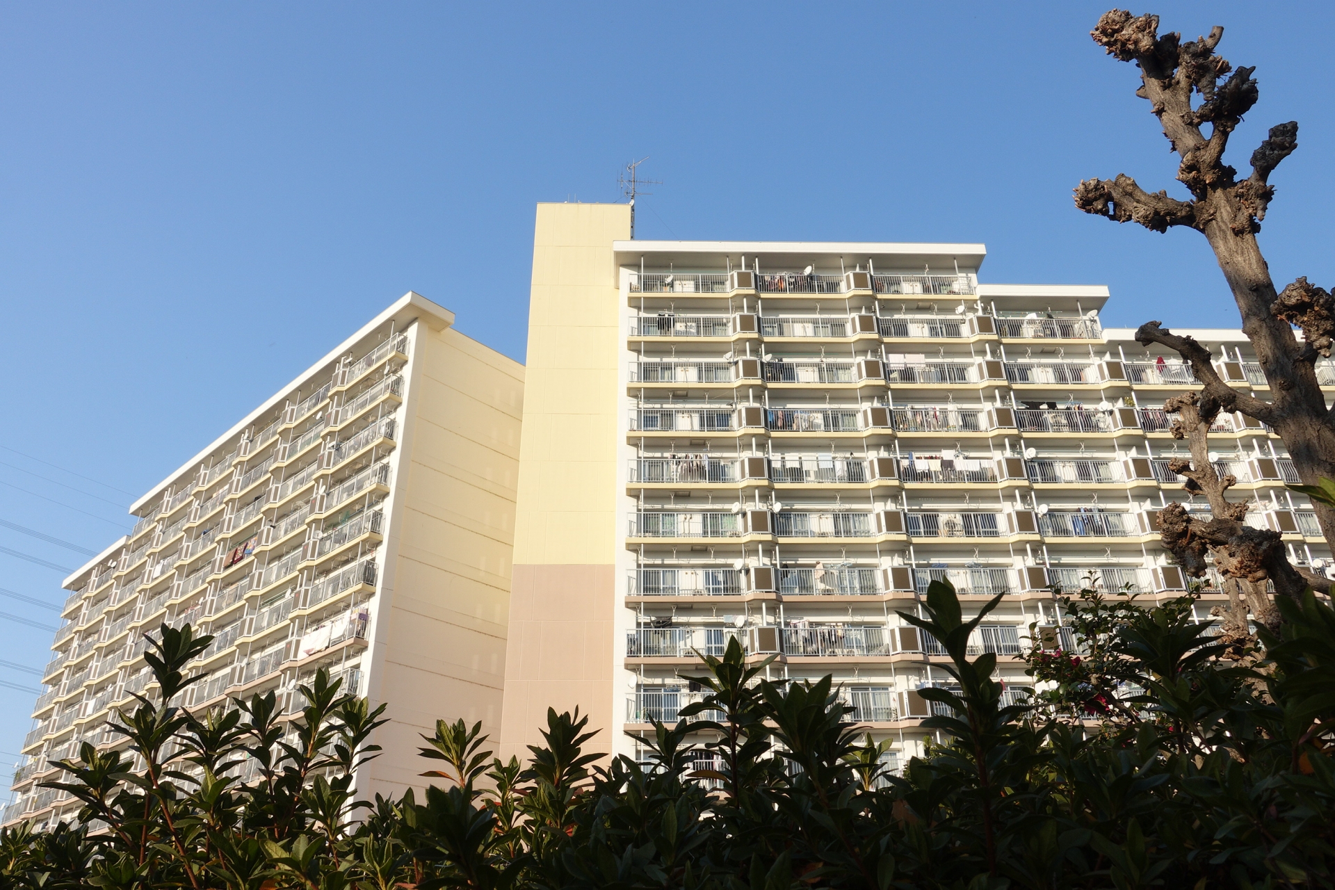 マンションの地震リスクとは?耐震の基礎~チェックポイントまでを解説【管理組合向け】 マンションの地震リスクとは?耐震の基礎~チェックポイントまでを解説【管理組合向け】