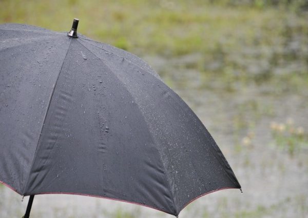梅雨時のカビ対策はこれでOK!部屋のジメジメを撃退せよ 梅雨時のカビ対策はこれでOK!部屋のジメジメを撃退せよ