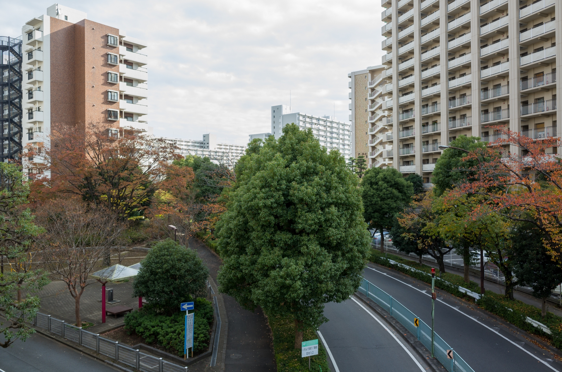 緑豊かで住みやすい練馬区、地形や災害リスクは大丈夫? 緑豊かで住みやすい練馬区、地形や災害リスクは大丈夫?