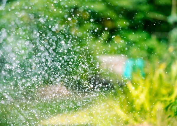 エコな暑さ対策!打ち水の意味や歴史、効果的な時間まで詳しく解説 エコな暑さ対策!打ち水の意味や歴史、効果的な時間まで詳しく解説