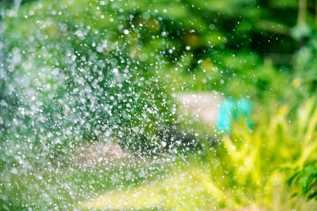 エコな暑さ対策!打ち水の意味や歴史、効果的な時間まで詳しく解説 エコな暑さ対策!打ち水の意味や歴史、効果的な時間まで詳しく解説