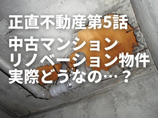 #正直不動産 第5話を解説!中古マンションのリノベーション物件実際どうなの…? #正直不動産 第5話を解説!中古マンションのリノベーション物件実際どうなの…?