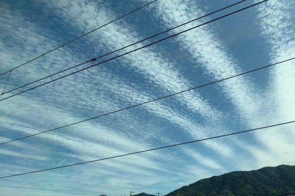 地震の迷信!?、うそ?ほんと? 地震の迷信!?、うそ?ほんと?