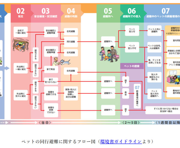 ペットの災害対策、避難はどうする？