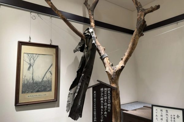国内外で被害の大きかった地震の特徴とは?~過去の震災を学ぶことで未来の自分を守る 国内外で被害の大きかった地震の特徴とは?~過去の震災を学ぶことで未来の自分を守る