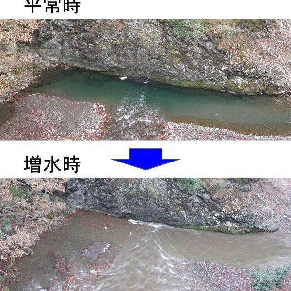 ゴールデンウィーク・事前＆もしもの備えは？外出先・交通機関別の注意したいポイントを解説
