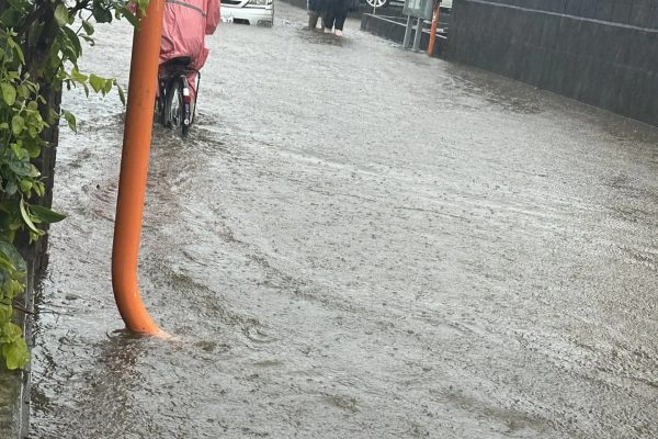 冠水・内水氾濫した場所を通る際の注意点まとめ 実際に浸水した地点のリスクを動画で解説 冠水・内水氾濫した場所を通る際の注意点まとめ 実際に浸水した地点のリスクを動画で解説