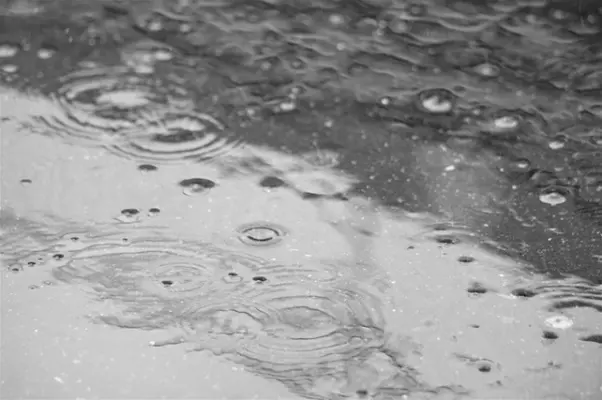 上棟前後にずっと雨…建物に影響あり?注意点や対策法を住宅診断のプロが解説! 上棟前後にずっと雨…建物に影響あり?注意点や対策法を住宅診断のプロが解説!