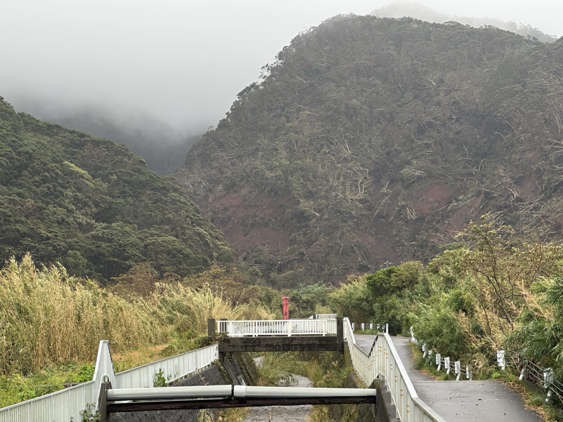台風22号被害の八丈島で「土石流が避難所を直撃」にみる避難とハザードマップの盲点 台風22号被害の八丈島で「土石流が避難所を直撃」にみる避難とハザードマップの盲点