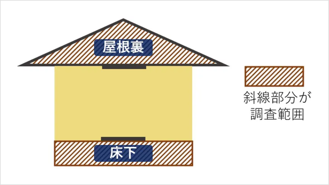 オプションの場合