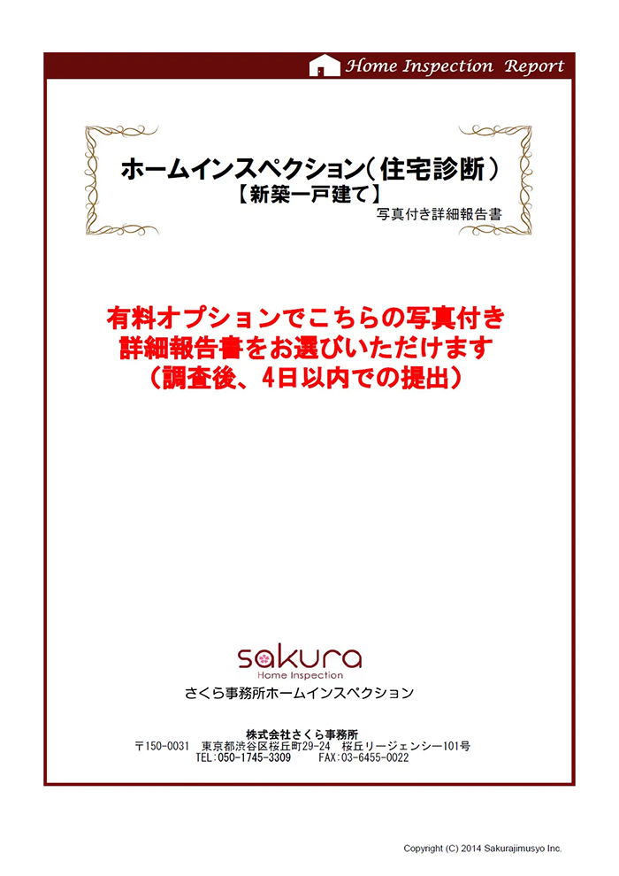 写真付き詳細報告書