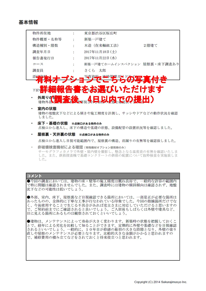写真付き詳細報告書
