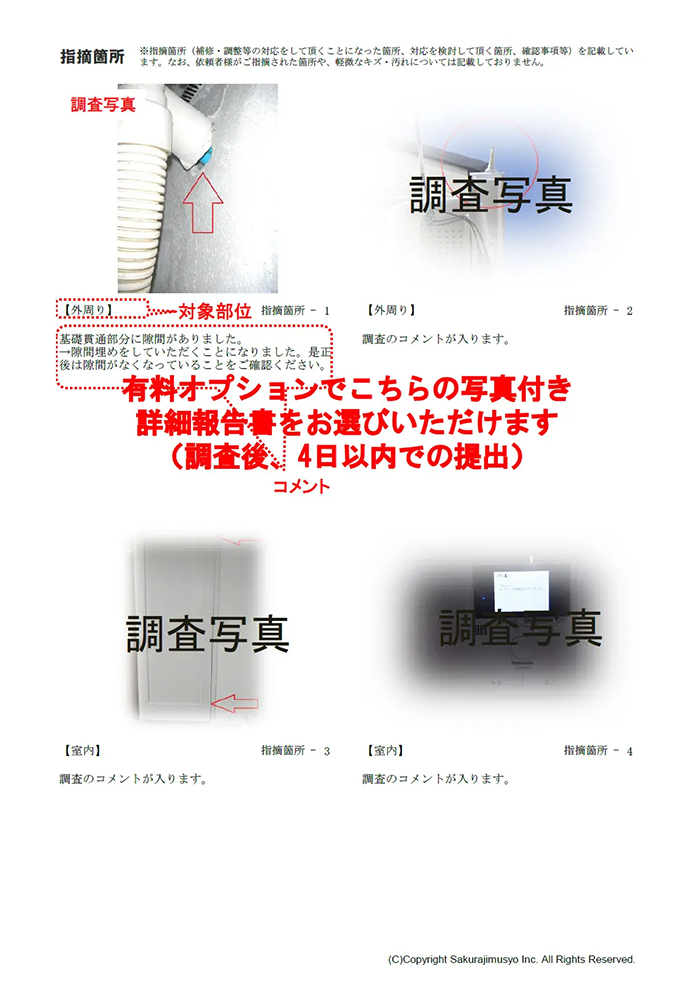 写真付き詳細報告書