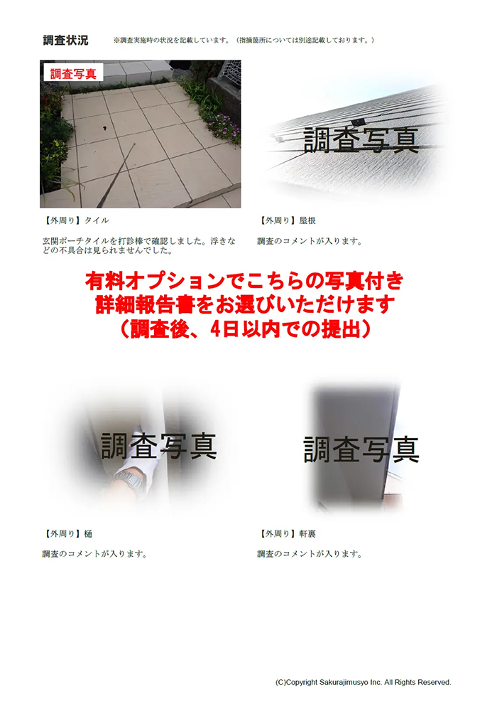写真付き詳細報告書