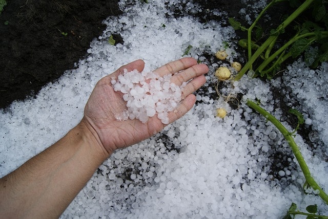 雹が積もっている様子