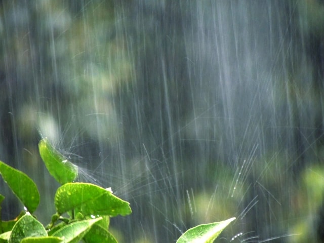 カビ 雨漏り 湿気に負けない 梅雨時の自宅点検ポイント