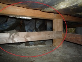 中古一戸建てホームインスペクション現場事例　～床下の水漏れ・不具合