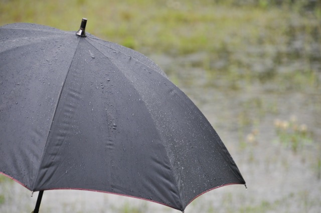 ジメジメを撃退したい！カビの原因にもなる梅雨時の湿気対策とは？