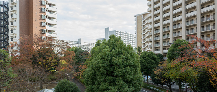 練馬区の地形の特徴と注意点