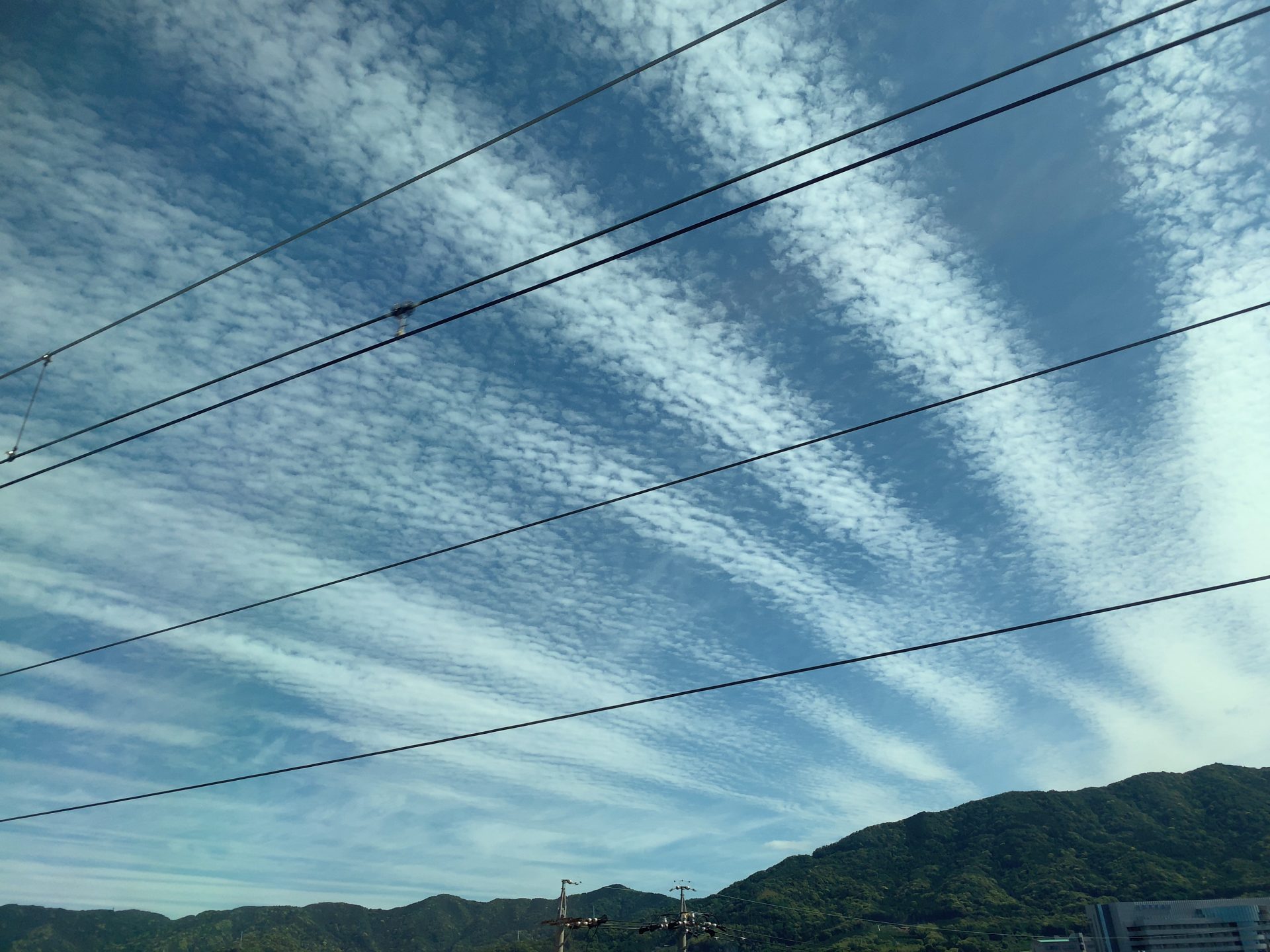 地震の迷信 うそ ほんと さくら事務所