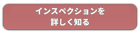 インスペクションとは