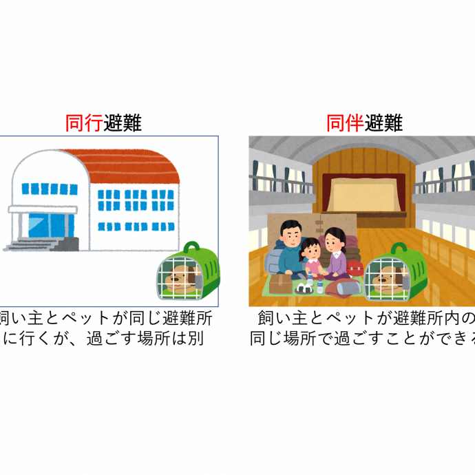 ペットの災害対策、避難はどうする？