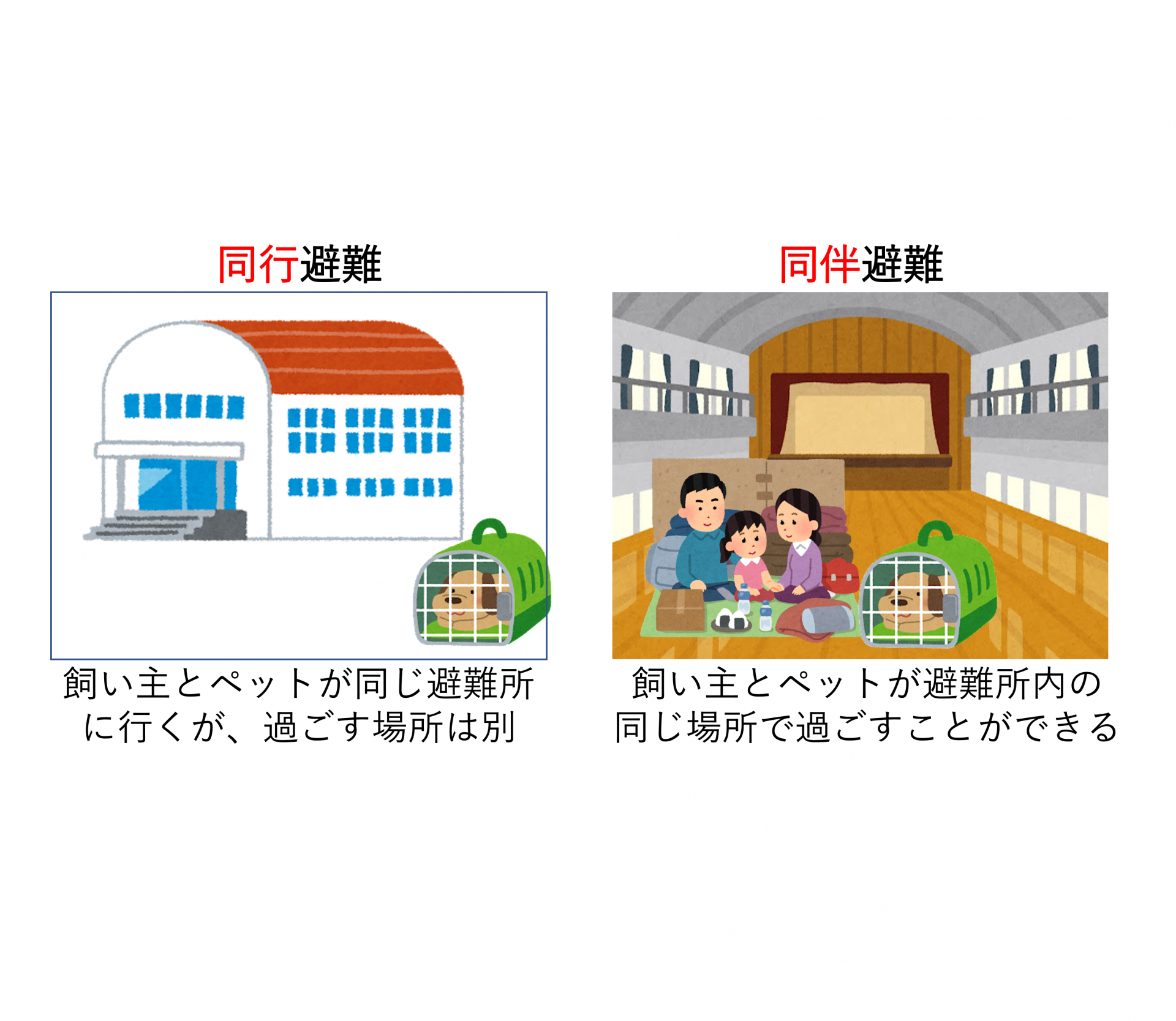 ペットの災害対策、避難はどうする？