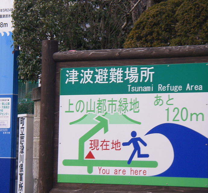 過去の津波に学ぶ～巨大津波・遠地津波・日本海の津波　5月に起きた貞観地震、チリ地震津波、日本海中部地震の教訓