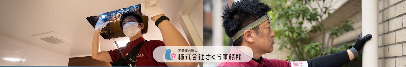 さくら事務所公式YouTubeがリニューアルしました！