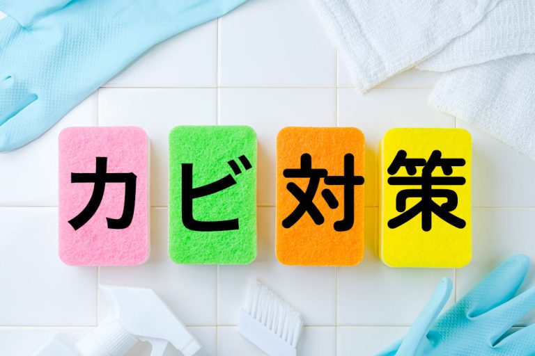 床下のカビの除去費用の相場は？失敗しない業者の選び方や費用の落とし穴を徹底解説！