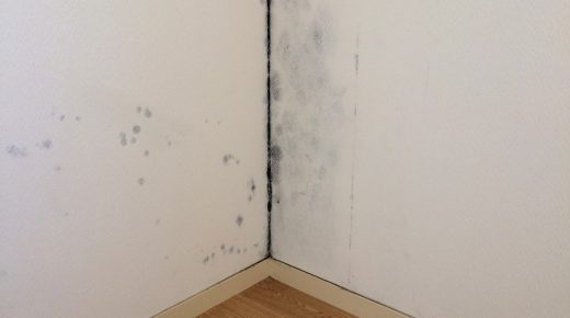 【専門家が警鐘】クローゼット・押入れの外壁側で発生するカビ窓が濡れていないから安心、ではない。”夏型結露”は壁の中でも起きる 【専門家が警鐘】クローゼット・押入れの外壁側で発生するカビ窓が濡れていないから安心、ではない。”夏型結露”は壁の中でも起きる
