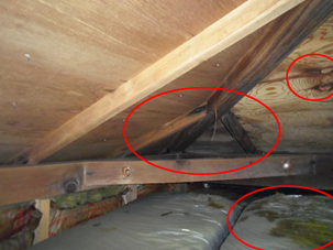 中古一戸建て_屋根裏雨漏り